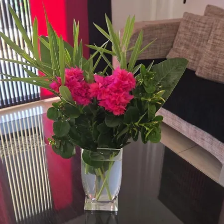 Marinea 2 Feriehus Paphos