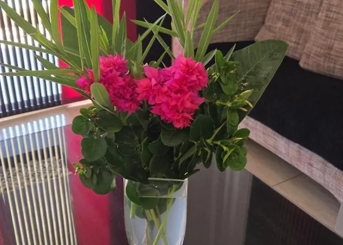 Marinea 2 Prázdninový dům Paphos